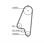 Hammasrihm GATES 5310XS
