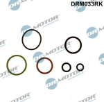 Remondikomplekt,pump-d&uuml;&uuml;s-komponent Dr.Motor Automotive DRM033RK