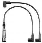 S&uuml;&uuml;tes&uuml;steemikomplekt BorgWarner (BERU) ZEF1189