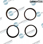 Tihendikomplekt,Sisselaskekollektor Dr.Motor Automotive DRM0133S