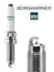 S&uuml;&uuml;tek&uuml;&uuml;nal BorgWarner (BERU) Z554