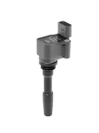 S&uuml;&uuml;tepool BorgWarner (BERU) ZSE231
