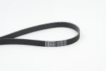 Soonrihm CONTINENTAL CTAM 7PK2061