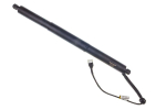 Elektrimootor, tagaluuk DENCKERMANN G100125