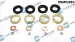 Tihendikomplekt, Sissepritsed&uuml;&uuml;s DR. MOTOR DRM0268S