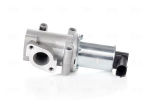 EGR-klapp NIS 98193
