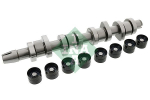 Nukkv&otilde;llikomplekt Schaeffler INA 428 0042 30