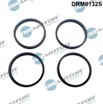 Tihendikomplekt,Sisselaskekollektor Dr.Motor Automotive DRM0132S