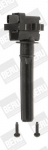 S&uuml;&uuml;tepool BorgWarner (BERU) ZS431