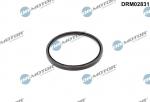 V&otilde;lli r&otilde;ngastihend, V&auml;ntv&otilde;ll DR. MOTOR DRM02831