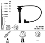 S&uuml;&uuml;tes&uuml;steemikomplekt NGK RC-RV603