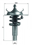 Termostaat,Jahutusvedelik MAHLE TX 106 90D