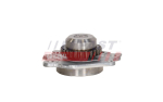 &Otilde;lipump FAST FT03229