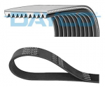 Soonrihm DAYCO 10PK1512SHD