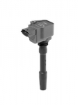 S&uuml;&uuml;tepool BorgWarner (BERU) ZSE226