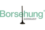 Sisselaskeventiil Borsehung B10334