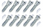 Rattapoldid NTY KSP-TY-003