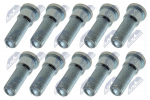 Rattapoldid NTY KSP-TY-004