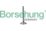 Sisselaskeventiil Borsehung B19024