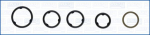 Tihendikomplekt,&otilde;liradiaator AJUSA 77016800