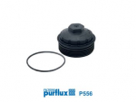 Kate,&otilde;lifiltrikonsool PURFLUX P556