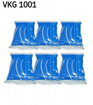 Rasv SKF VKG 1001
