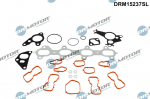 Tihendikomplekt,silindripea DR. MOTOR DRM15237SL