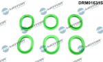 Tihendikomplekt,Sisselaskekollektor Dr.Motor Automotive DRM01631S