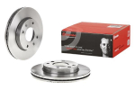 Piduriketas BREMBO 09.9555.20