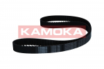 Hammasrihm KAMOKA 7000138