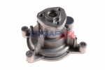 Veepump, mootori jahutus BOGAP A4234122