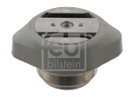 Kinnitus,automaatk&auml;igukast FEBI BILSTEIN 31980