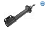 Amort MEYLE 16-26 613 0008