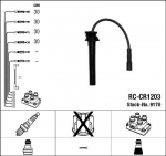 S&uuml;&uuml;tes&uuml;steemikomplekt NGK RC-CR1203