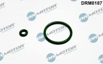 Tihendikomplekt, Sissepritsed&uuml;&uuml;s DR. MOTOR DRM0187