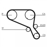 Hammasrihm CONTINENTAL CTAM CT952