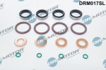 Tihendikomplekt, Sissepritsed&uuml;&uuml;s DR. MOTOR DRM017SL