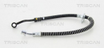 Pidurivoolik TRISCAN 8150 18160
