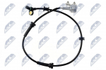 Andur, rattap&ouml;&ouml;rete arv NTY HCA-NS-004