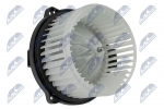 Salongipuhur NTY EWN-DW-000