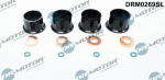 Tihendikomplekt, Sissepritsed&uuml;&uuml;s Dr.Motor Automotive DRM0269SL