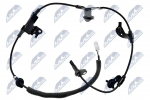 Andur, rattap&ouml;&ouml;rete arv NTY HCA-TY-014