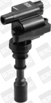 S&uuml;&uuml;tepool BorgWarner (BERU) ZSE087