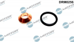 Tihendikomplekt, Sissepritsed&uuml;&uuml;s Dr.Motor Automotive DRM0256