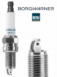 S&uuml;&uuml;tek&uuml;&uuml;nal BorgWarner (BERU) Z293