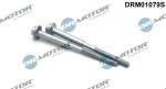 Kruvi, sissepritsed&uuml;&uuml;si kinnitus Dr.Motor Automotive DRM01079S