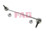 Stabilisaator,Stabilisaator Schaeffler FAG 818 0091 10