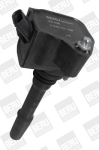 S&uuml;&uuml;tepool BorgWarner (BERU) ZS538
