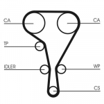 Hammasrihm CONTINENTAL CTAM CT1127