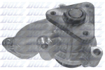 Veepump, mootori jahutus DOLZ H224